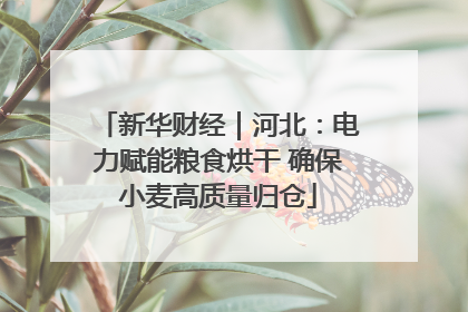 新华财经｜河北：电力赋能粮食烘干 确保小麦高质量归仓